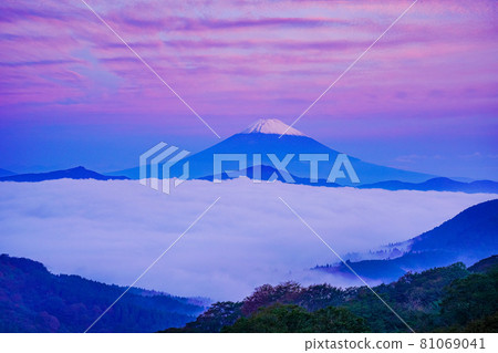 (神奈川縣)雲海蘆之湖黎明時分的富士山 (神奈川縣)雲海蘆之湖黎明時分的富士山 81069041