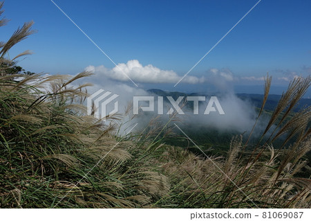 陽明山 81069087