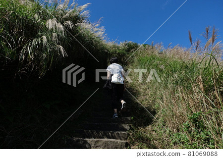 陽明山 81069088