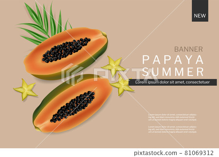 Papaya summer banner vector realistic. Tropic fruits template backgrounds Papaya summer banner vector realistic. Tropic fruits template backgrounds 81069312