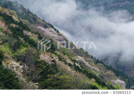 Spring ridges and rising clouds 81069313