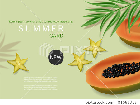 Papaya summer green banner vector realistic. Tropic fruits template backgrounds 81069315