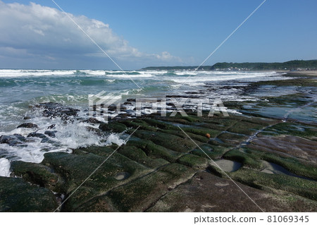 seaside 81069345