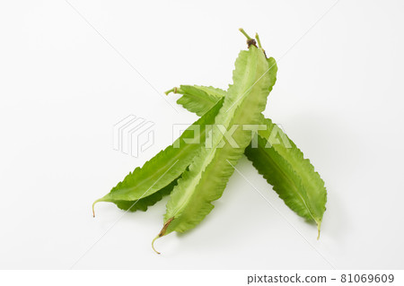 Winged beans on a white background Winged beans on a white background 81069609