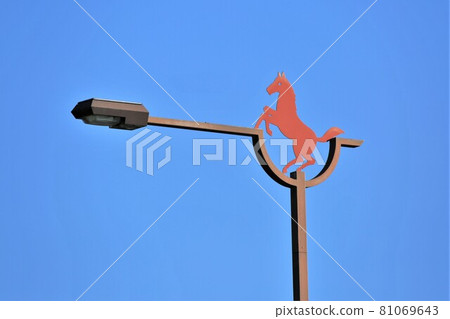 Thoroughbred Ginza Streetlight (Niikappu, Hokkaido) 81069643