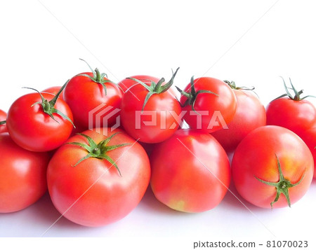 Tomato Tomato Glitter bright red cute tomato Tomato Tomato Glitter bright red cute tomato 81070023