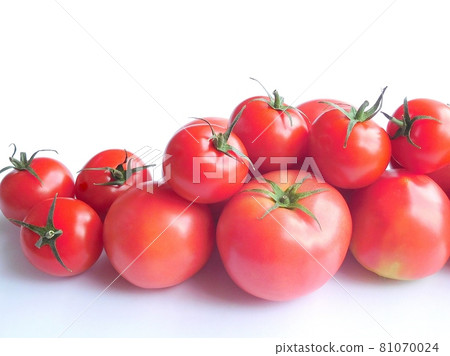 Tomato Tomato Glitter bright red cute tomato Tomato Tomato Glitter bright red cute tomato 81070024