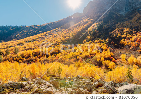 Rocky mountains and autumnal forest with sun in Europe. Mountain landscape Rocky mountains and autumnal forest with sun in Europe. Mountain landscape 81070050