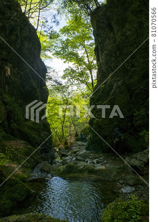 Unexplored area 81070566