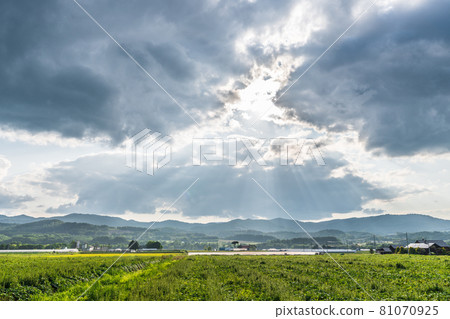 北海道美瑛國道237號富良野線天使階梯 北海道美瑛國道237號富良野線天使階梯 81070925