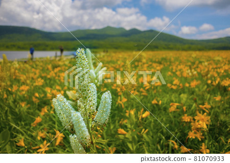 小國沼池 小國沼池 81070933