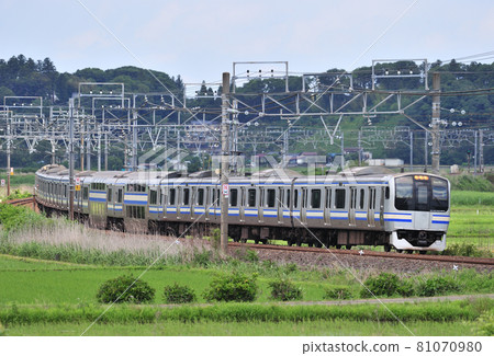 總武本線 Sakura-Monoi JR East E217 系列 Y-34 編隊（鎌倉） 81070980