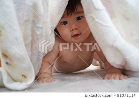 嬰兒從毛巾裡偷看 嬰兒從毛巾裡偷看 81071114