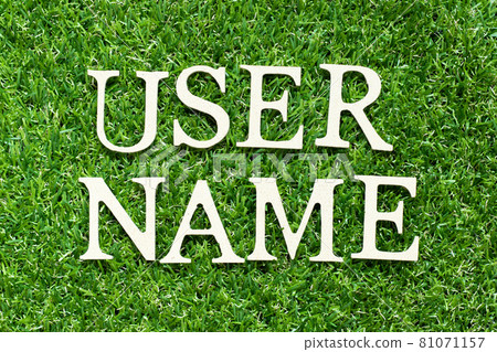 Alphabet letter in word user name on green grass background Alphabet letter in word user name on green grass background 81071157