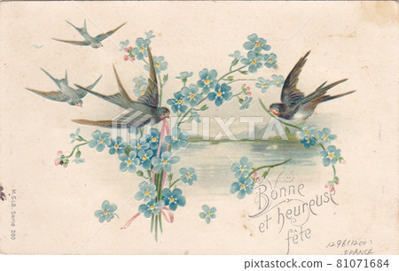 Antique postcard with 100-year-old French flowers and birds Antique postcard with 100-year-old French flowers and birds 81071684