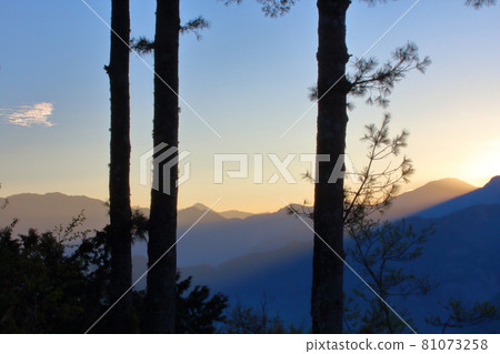 Alishan Sunrise 81073258