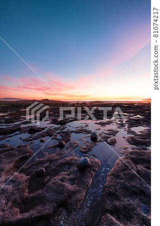 Botanical Beach on the West Coast of Pacific Ocean. Botanical Beach on the West Coast of Pacific Ocean. 81074217