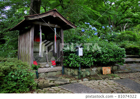 Jizo-sama's shrine standing by the side of the migratory road at Hydrangea Temple Jizo-sama's shrine standing by the side of the migratory road at Hydrangea Temple 81074322