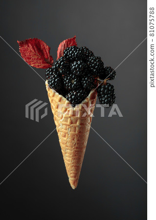Fresh blackberries in a waffle cone. 81075788