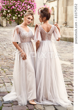 Two beautiful bridesmaids ladies in gorgeous... - Stock Photo [81075852] -  PIXTA
