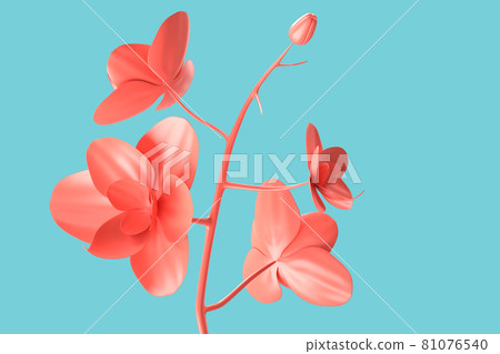 Close-up of abstract minimalistic pink flower over teal background. 3D Rendering Close-up of abstract minimalistic pink flower over teal background. 3D Rendering 81076540