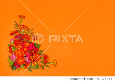 Day of the dead, Dia De Los Muertos Celebration Background 81076735