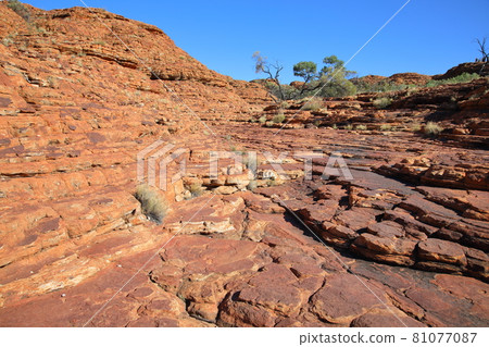 Kings Canyon (Australia) Kings Canyon (Australia) 81077087