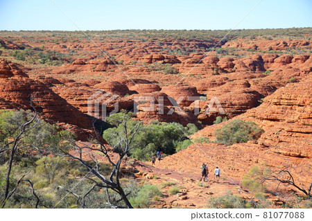 Kings Canyon (Australia) Kings Canyon (Australia) 81077088