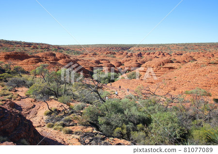 Kings Canyon (Australia) 81077089