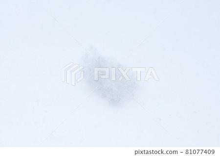 Cotton dust 81077409