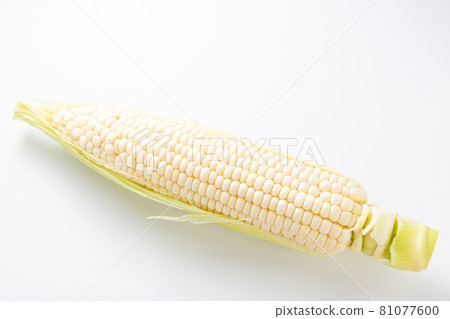 白玉米（純白色）。 81077600