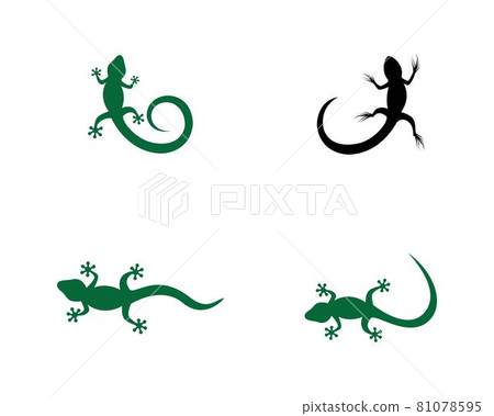 Lizard logo template 81078595