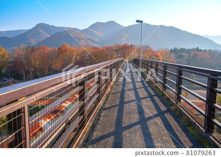 晨霧中的長瀞 秋景 金石水官橋 秋葉風光 晨霧中的長瀞 秋景 金石水官橋 秋葉風光 81079263