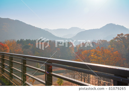 長瀞秋景、金石水觀橋的秋葉景 長瀞秋景、金石水觀橋的秋葉景 81079265