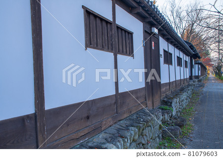 長瀞町櫻花大道的風景 長瀞町櫻花大道的風景 81079603