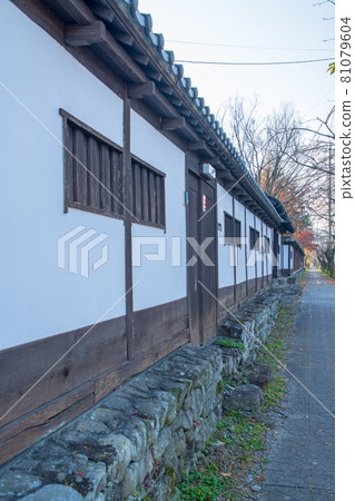 長瀞町櫻花大道的風景 長瀞町櫻花大道的風景 81079604