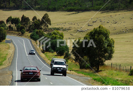 Tasmanian highway in the wilderness 81079638