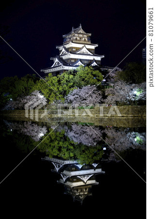 Hiroshima Castle Night Cherry Blossoms Hiroshima Castle Night Cherry Blossoms 81079661