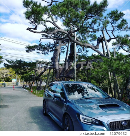 Holiday drive 81079682