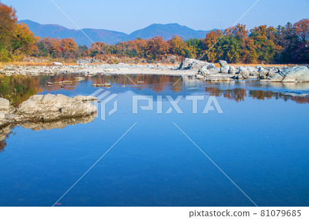 Nagatoro Arakawa Autumn scenery Near the lower reaches of Iwadatami Autumn leaves scenery Nagatoro Arakawa Autumn scenery Near the lower reaches of Iwadatami Autumn leaves scenery 81079685