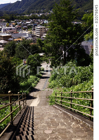 The way down 81079845