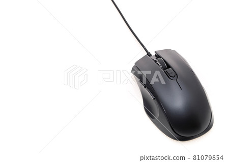 Mouse 81079854