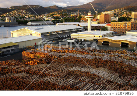 Timber for export at Hobart Port on Tasmania Timber for export at Hobart Port on Tasmania 81079956