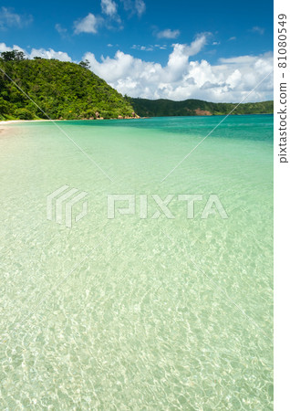 Amazing paradise beach, crystalline emerald green sea, bright waters, lush vegetation, green mountains, blue sky. Iriomote Island. 81080549
