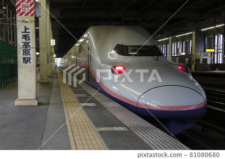 Joetsu Shinkansen E4 series on the verge of retirement: Max Toki / Max Tanigawa (8-car train) 81080680