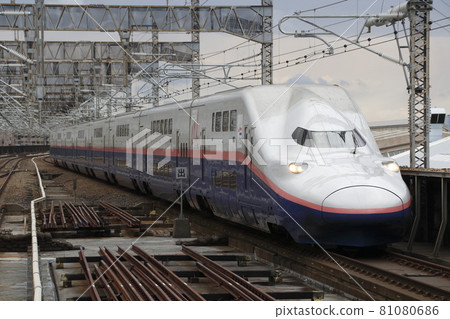 Joetsu Shinkansen E4 series on the verge of retirement: Max Toki / Max Tanigawa (8-car train) 81080686
