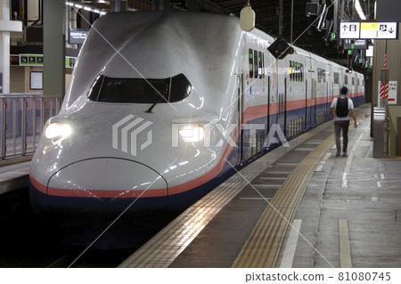 Joetsu Shinkansen E4 Series Max Toki (Niigata Station) on the verge of retirement 81080745