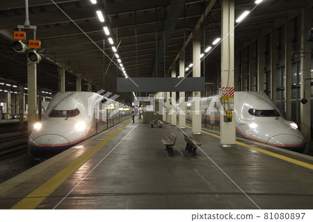 在越後湯澤站排隊的巨大牆壁：即將退休的上越新幹線E4系列：Max Toki / Max Tanigawa 81080897