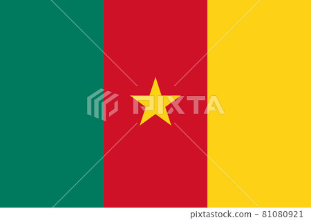 National flag of Cameroon original size and colors vector illustration, Cameroonian flag or drapeau du Cameroun have the star of unity, Pan-African colours Republic of Cameroon flag 81080921