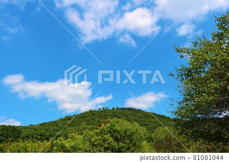 Healing sky and green landscape Healing sky and green landscape 81081044